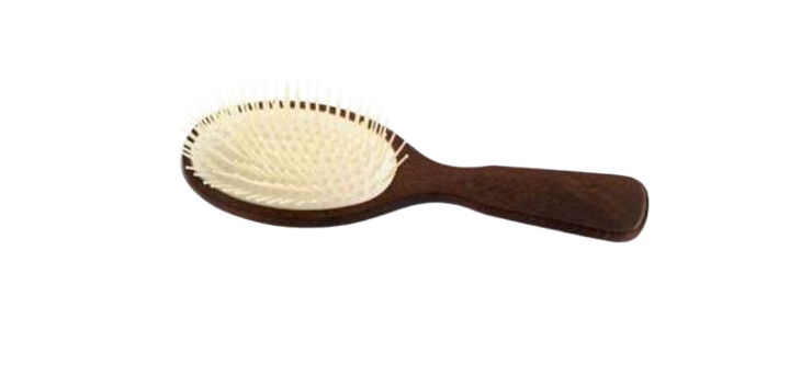 SPAZZOLE PNEUMATICHE OVALI Il mio negozio
