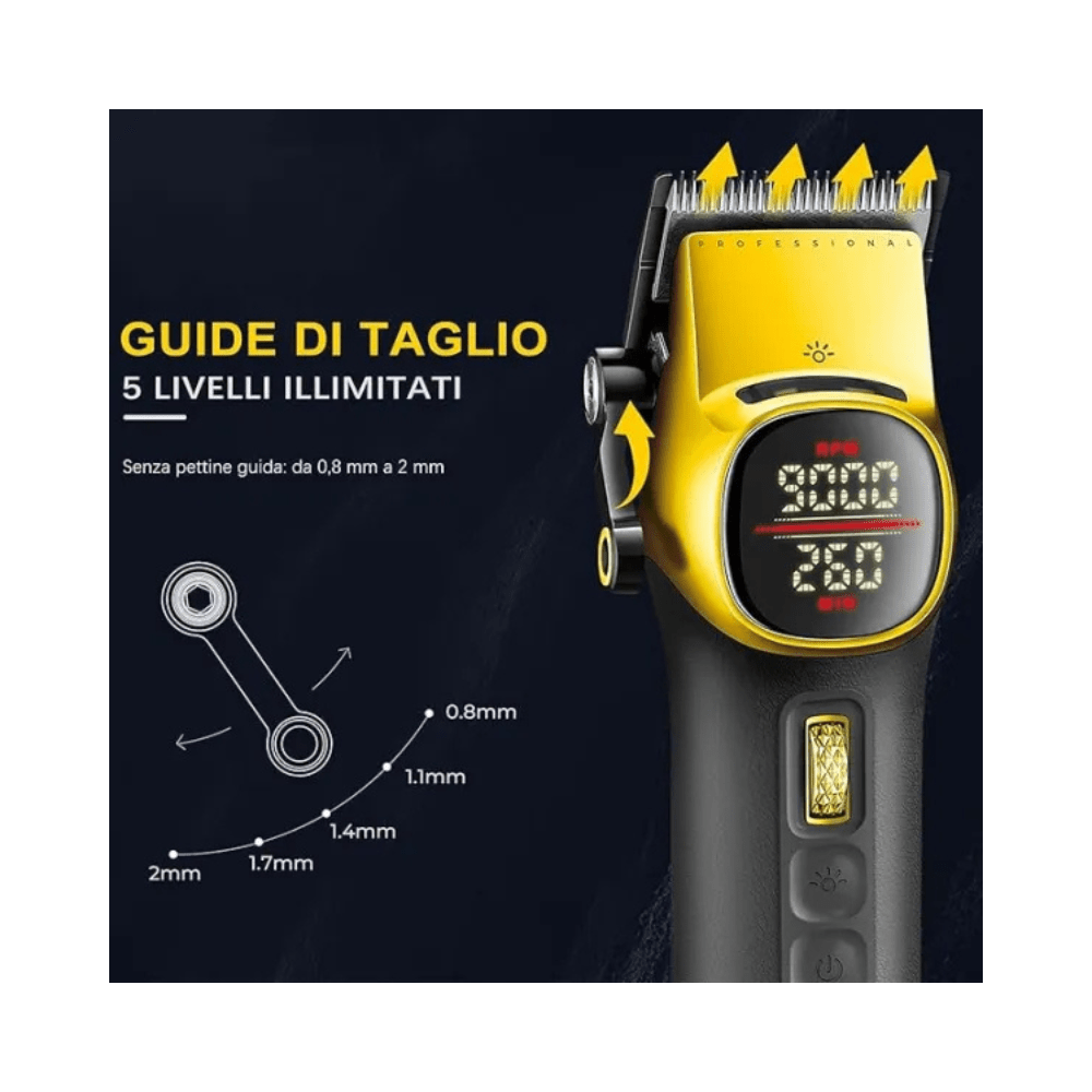 vgr_professionale_romido
