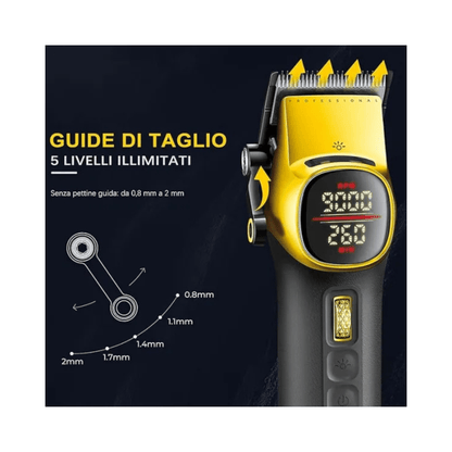 vgr_professionale_romido